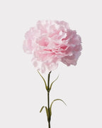 Real Touch Carnation Faux Flower - 20"