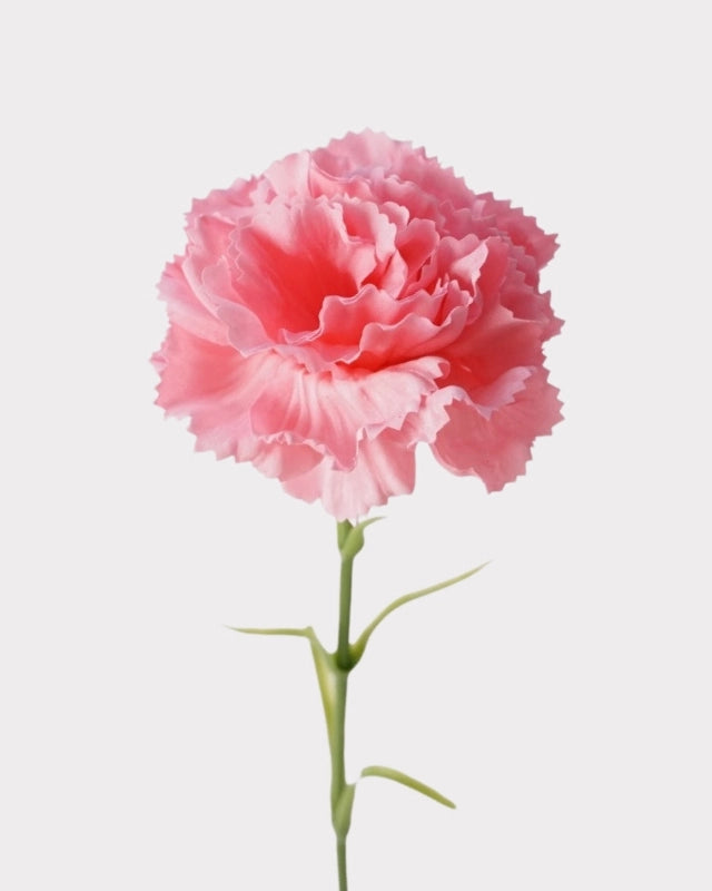 Real Touch Carnation Faux Flower - 20"