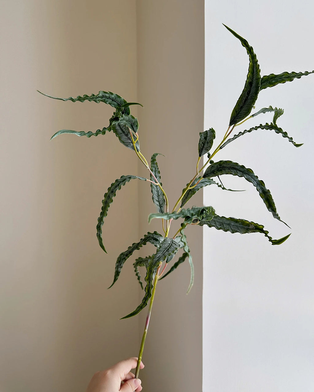 Real Touch Curled Eucalyptus Stem 27"