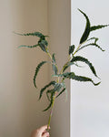 Real Touch Curled Eucalyptus Stem 27"