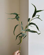 Real Touch Curled Eucalyptus Stem 27"