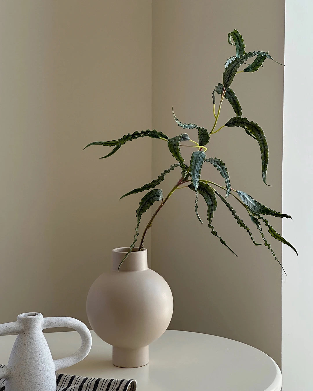 Real Touch Curled Eucalyptus Stem 27"