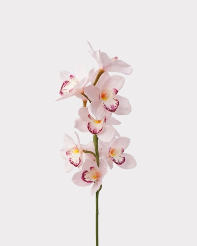 Real Touch Cymbidium Orchid Faux Flower