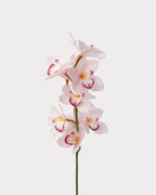 Real Touch Cymbidium Orchid Faux Flower