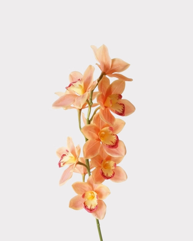 Real Touch Cymbidium Orchid Faux Flower