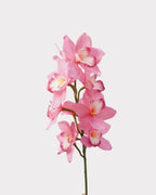 Real Touch Cymbidium Orchid Faux Flower