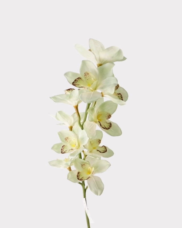 Real Touch Cymbidium Orchid Faux Flower