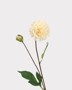Real Touch Dahlia Faux Flower Stem – 22.8"