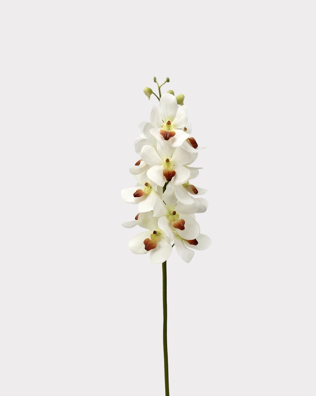 Real Touch Faux Vanda Orchid - 27.6