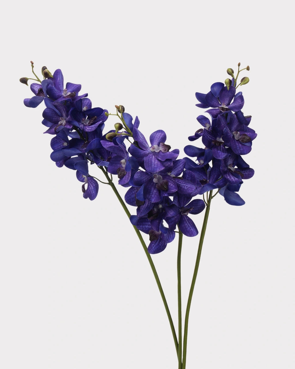 Real Touch Faux Vanda Orchid - 27.6