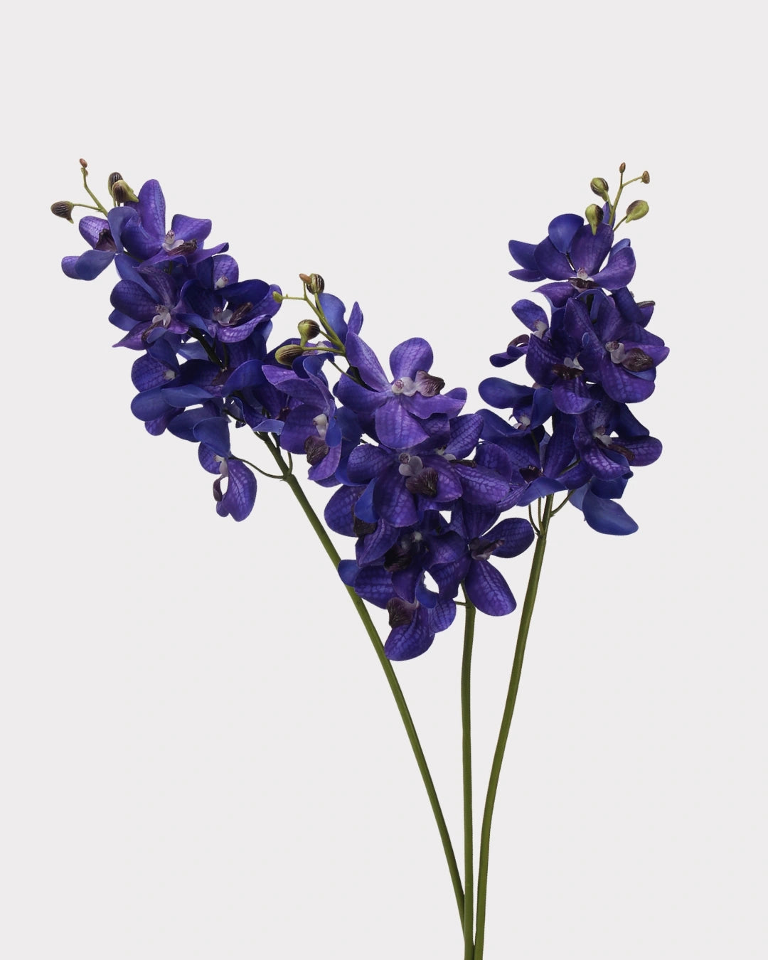 Real Touch Faux Vanda Orchid - 27.6