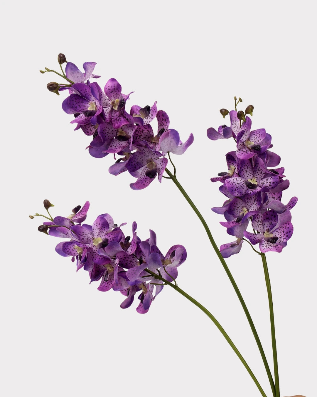 Real Touch Faux Vanda Orchid - 27.6