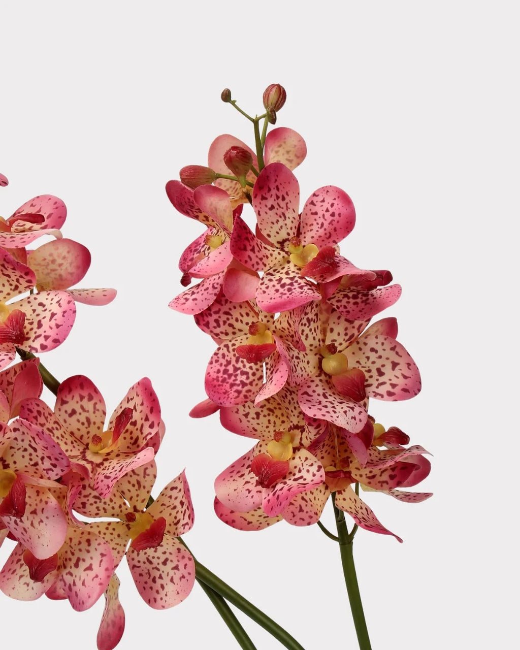 Real Touch Faux Vanda Orchid - 27.6
