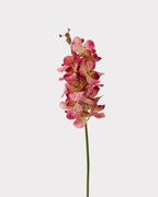Real Touch Faux Vanda Orchid - 27.6