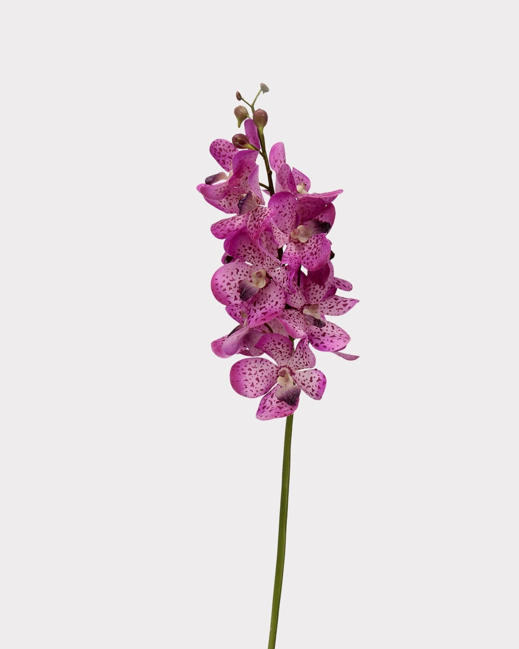 Real Touch Faux Vanda Orchid - 27.6