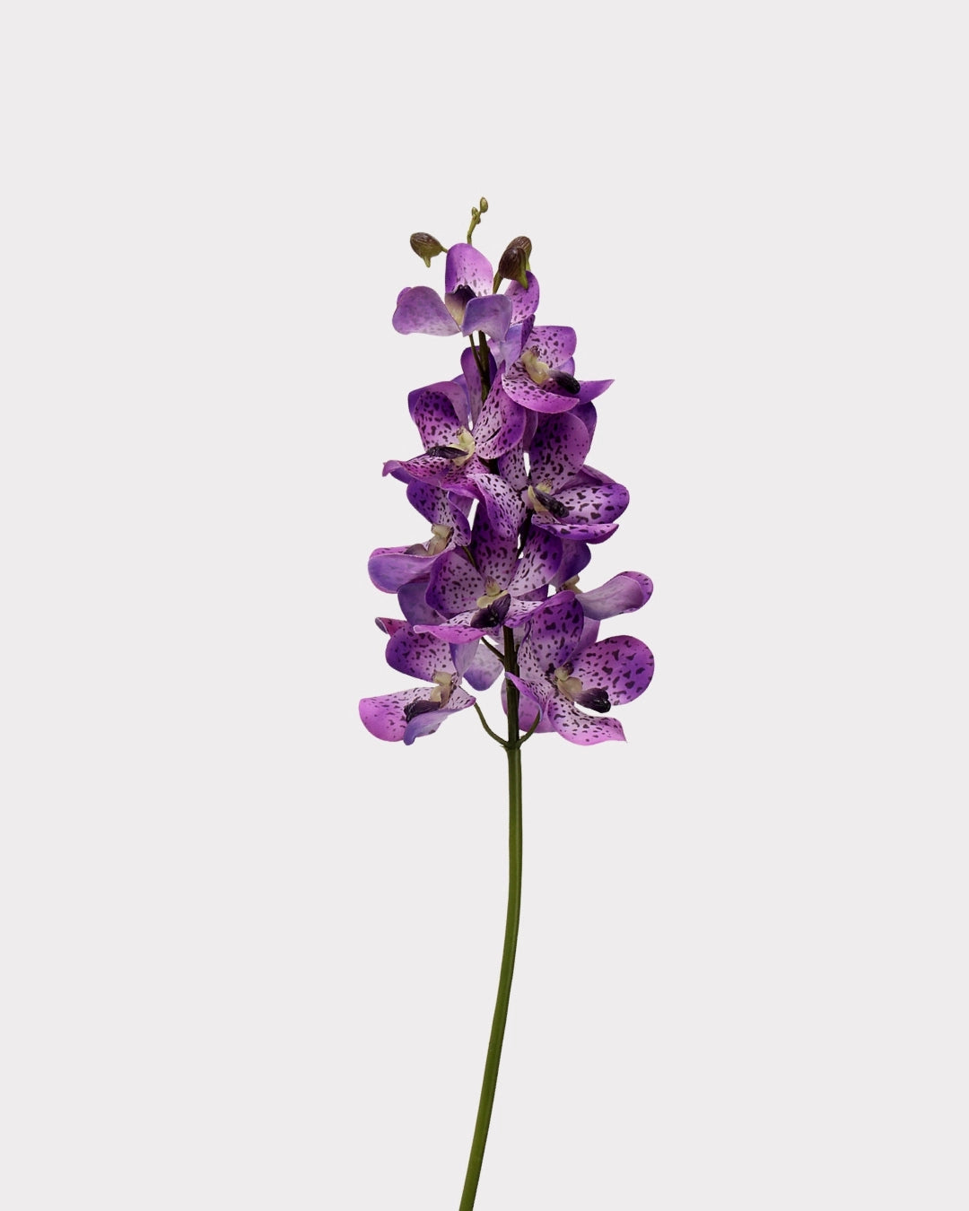 Real Touch Faux Vanda Orchid - 27.6