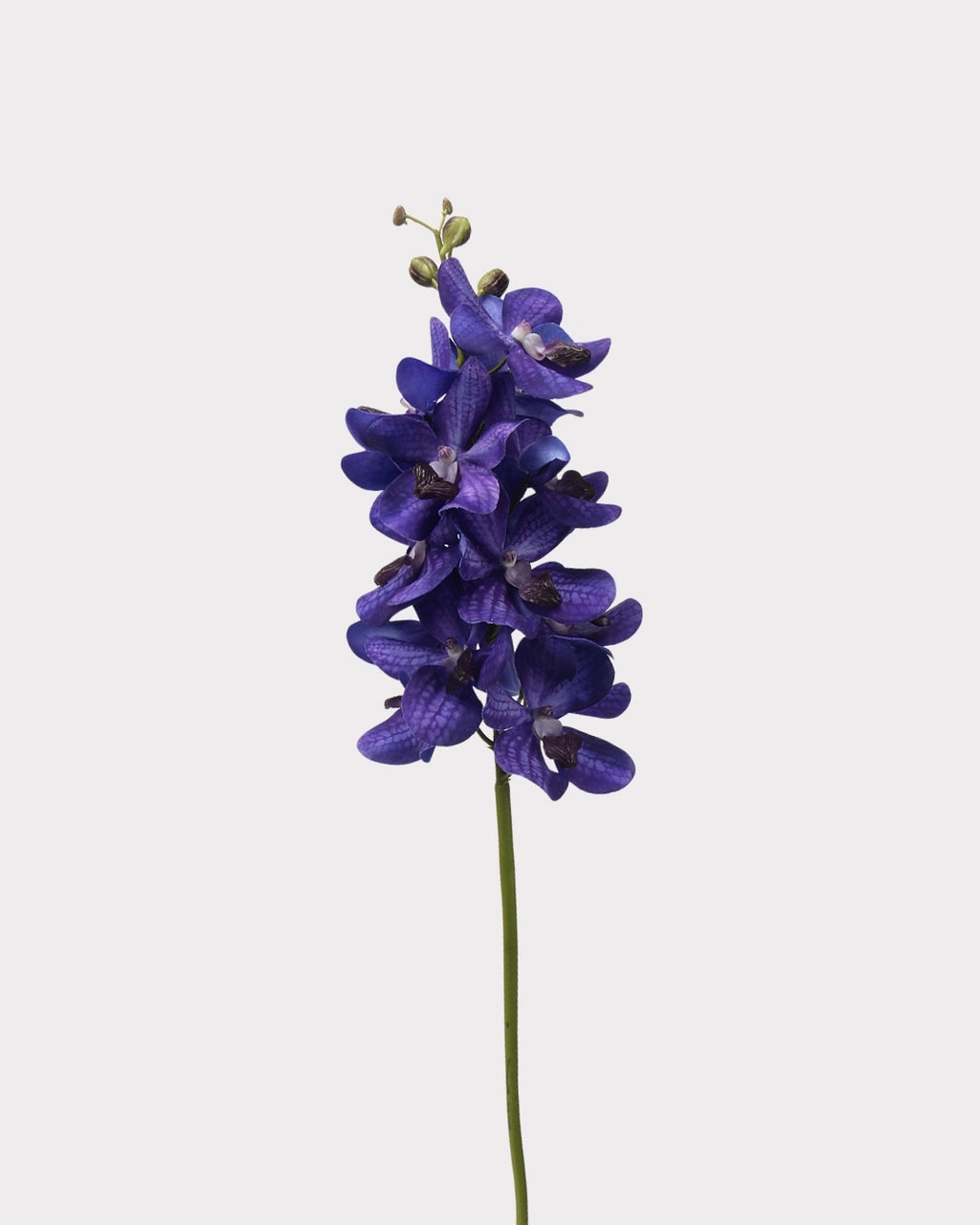 Real Touch Faux Vanda Orchid - 27.6