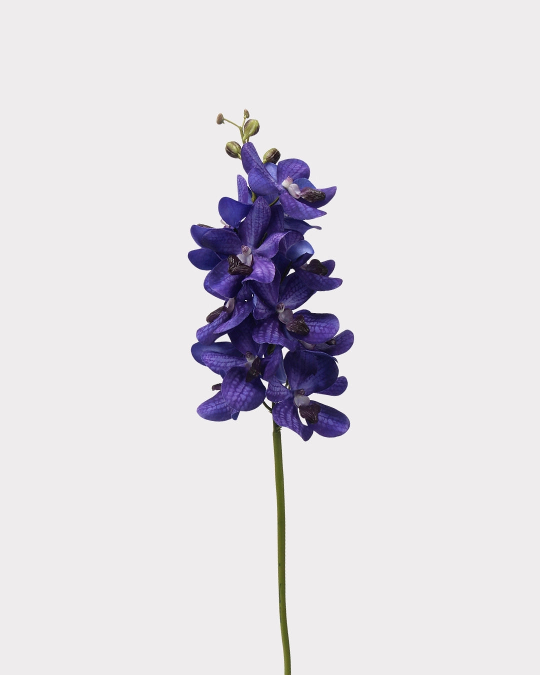 Real Touch Faux Vanda Orchid - 27.6