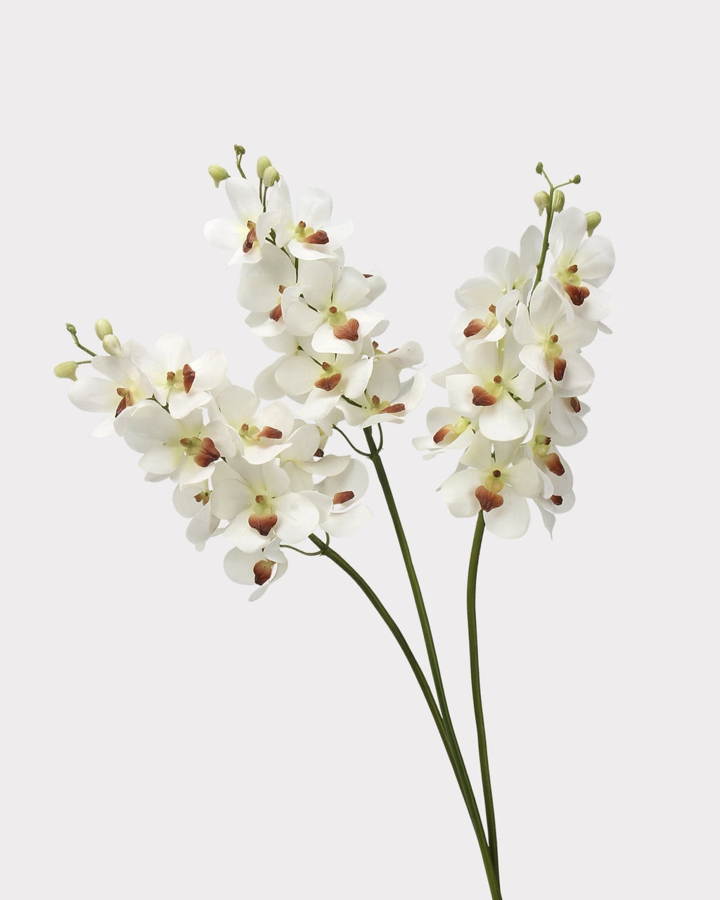 Real Touch Faux Vanda Orchid - 27.6