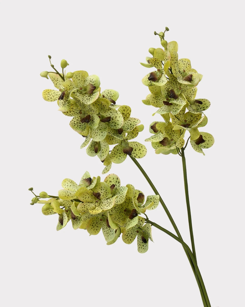Real Touch Faux Vanda Orchid - 27.6