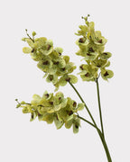 Real Touch Faux Vanda Orchid - 27.6