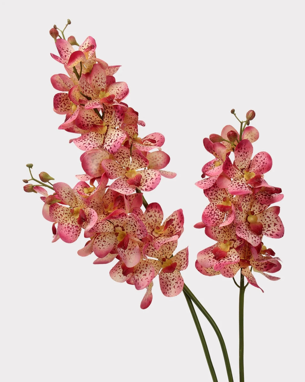 Real Touch Faux Vanda Orchid - 27.6
