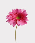 Real Touch Gerbera Faux Flower - 26"
