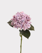 Real Touch Hydrangea Faux Flower - 24"