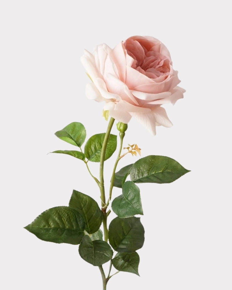 Real Touch Juliet Style Rose Faux Flower - 27.2"