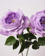 Real Touch Juliet Style Rose Faux Flower - 27.2"
