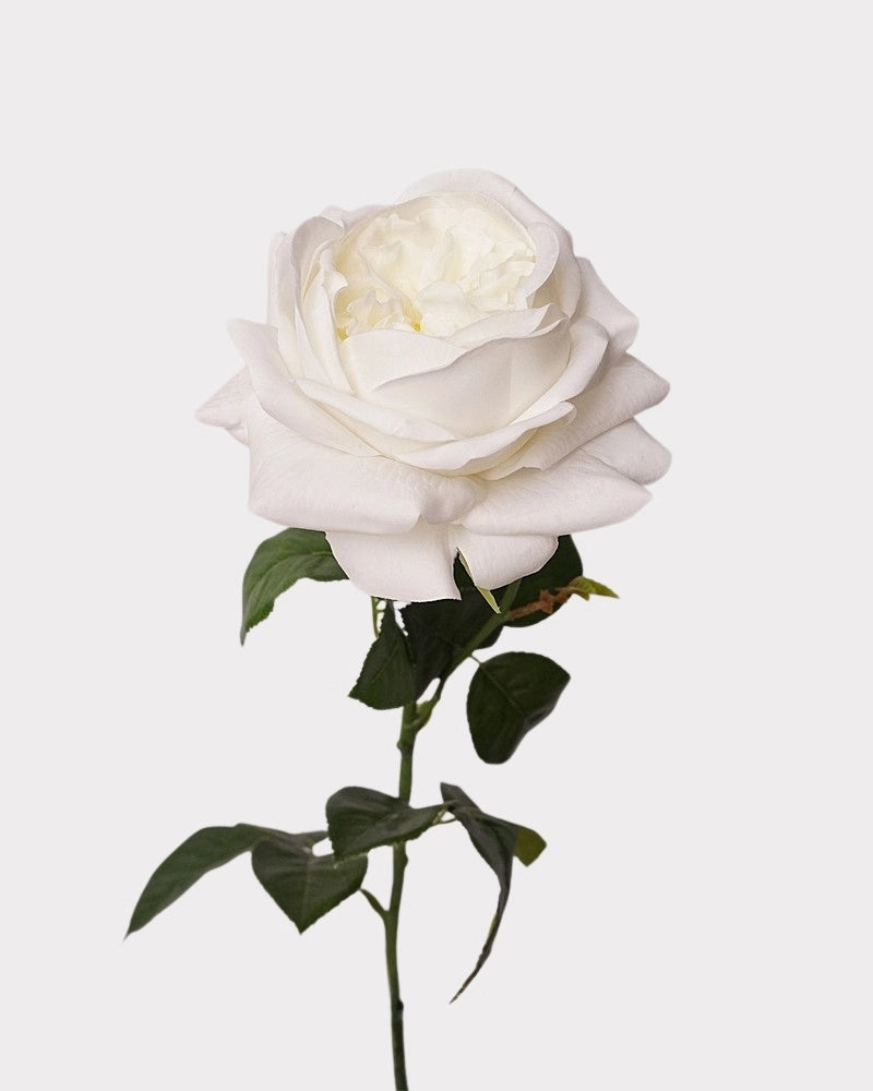 Real Touch Juliet Style Rose Faux Flower - 27.2"