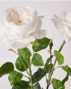 Real Touch Juliet Style Rose Faux Flower - 27.2"