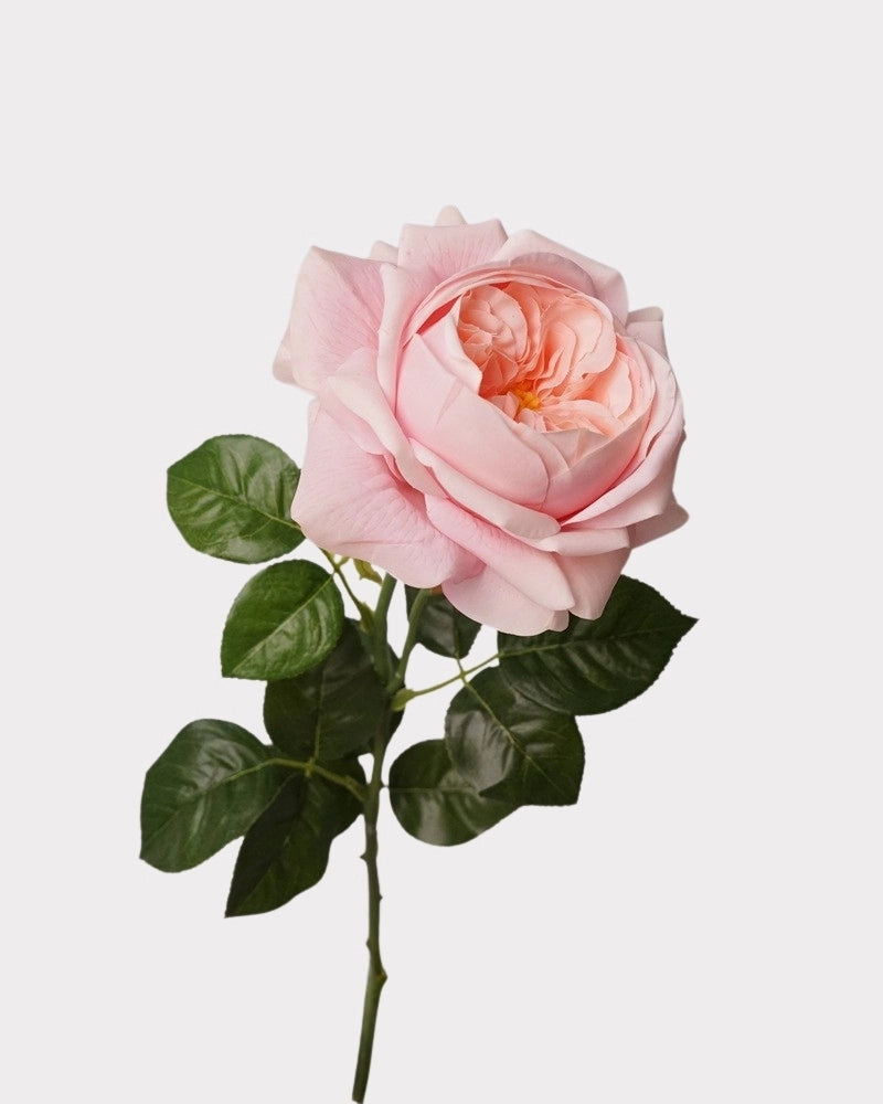 Real Touch Juliet Style Rose Faux Flower - 27.2"