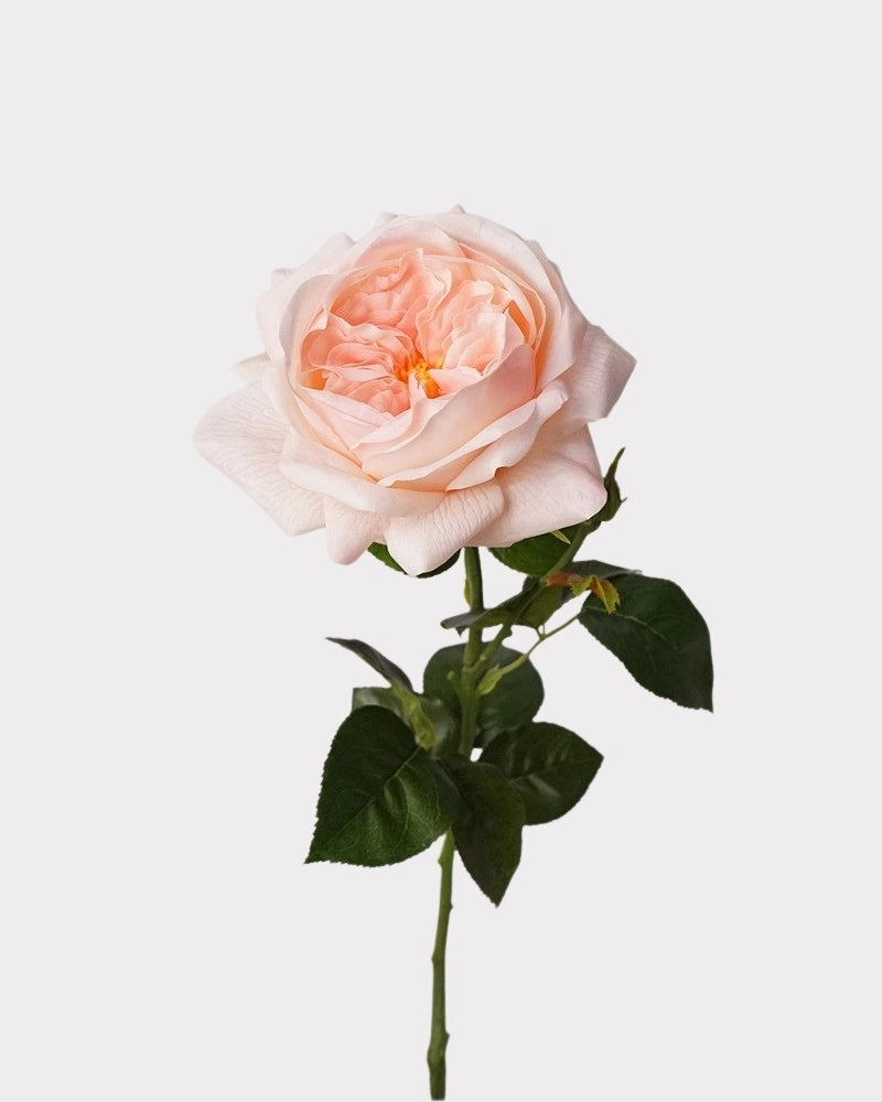 Real Touch Juliet Style Rose Faux Flower - 27.2"