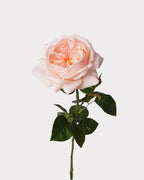 Real Touch Juliet Style Rose Faux Flower - 27.2"