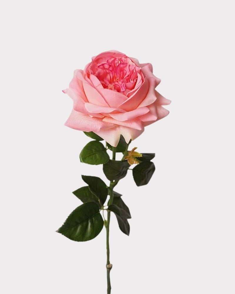 Real Touch Juliet Style Rose Faux Flower - 27.2"