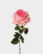 Real Touch Juliet Style Rose Faux Flower - 27.2"