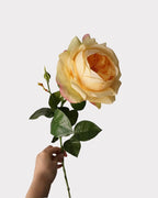 Real Touch Juliet Style Rose Faux Flower - 27.2"