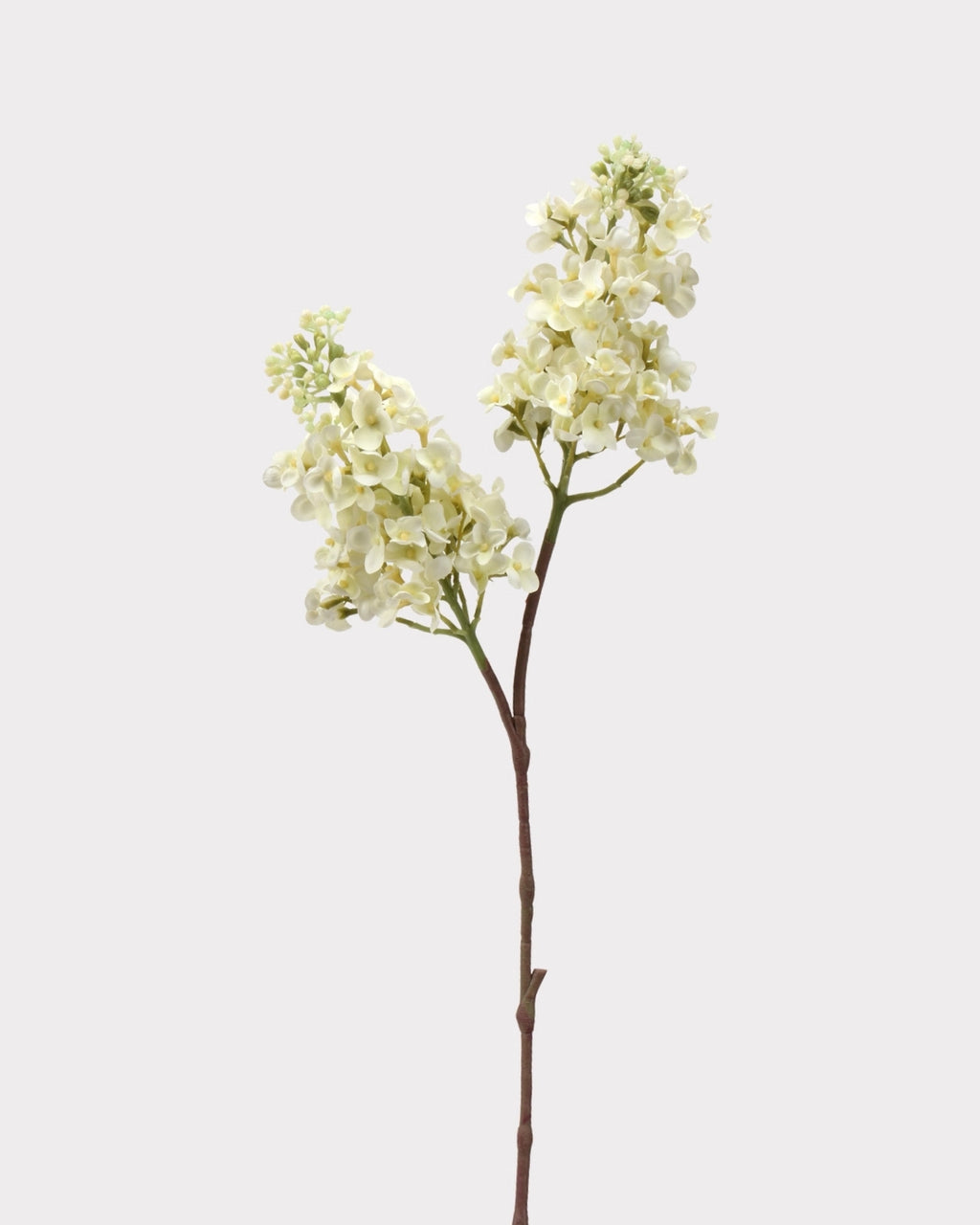 Real Touch Lilac Faux Flower in White - 24"
