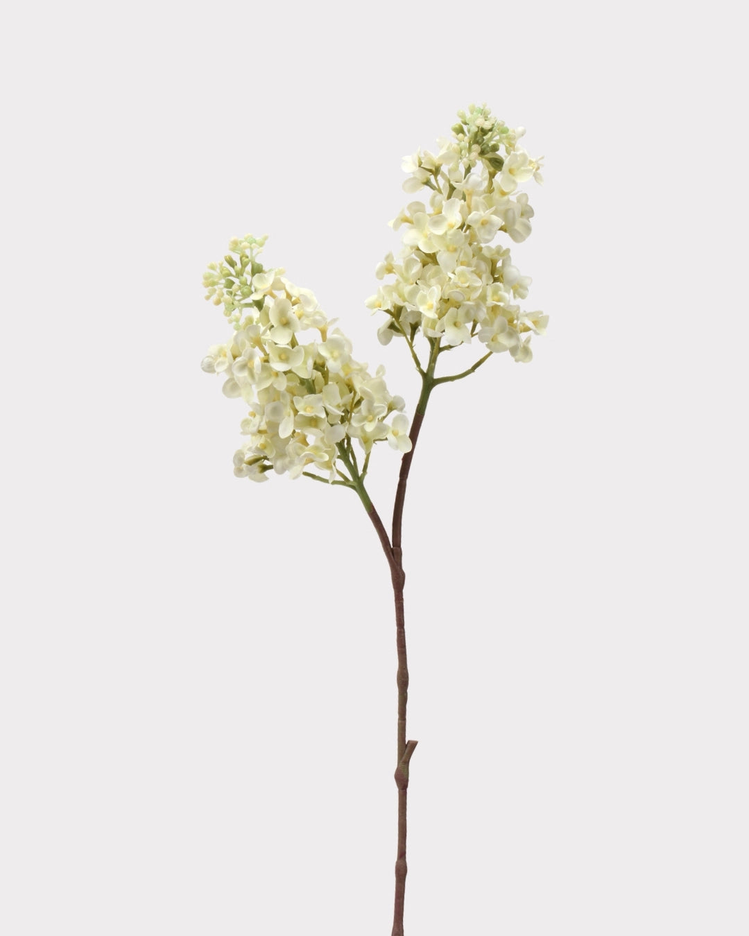 Real Touch Lilac Faux Flower in White - 24"