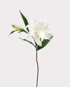 Real Touch Lily Faux Flower - 23.5"