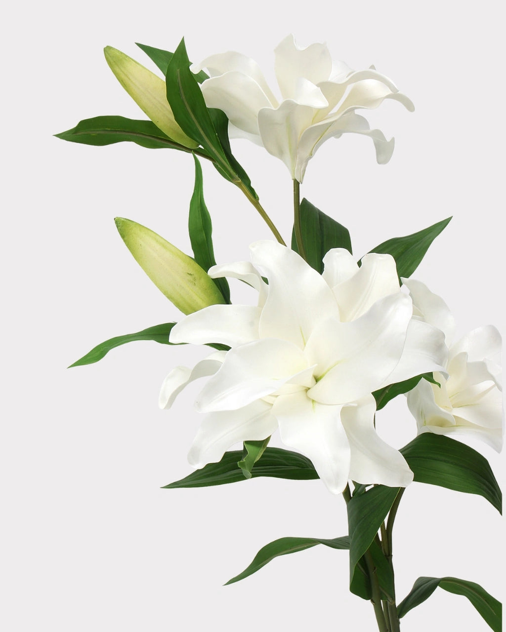 Real Touch Lily Faux Flower - 23.5"