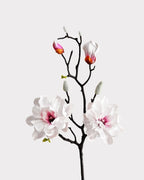 Real Touch Magnolia Faux Branch in White - 28"