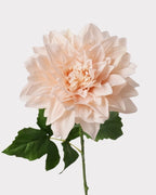 Real Touch Moisturizing Dahlia Faux Flower - 24"