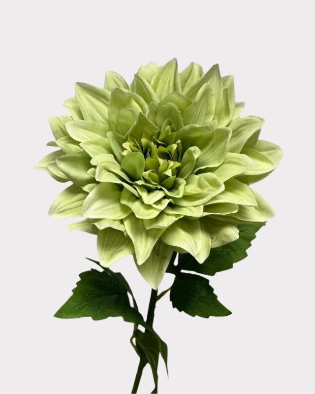 Real Touch Moisturizing Dahlia Faux Flower - 24"