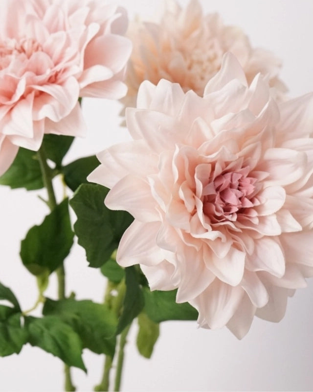 Real Touch Moisturizing Dahlia Faux Flower - 24"