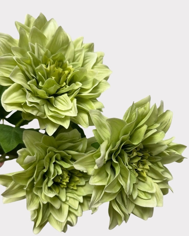 Real Touch Moisturizing Dahlia Faux Flower - 24"