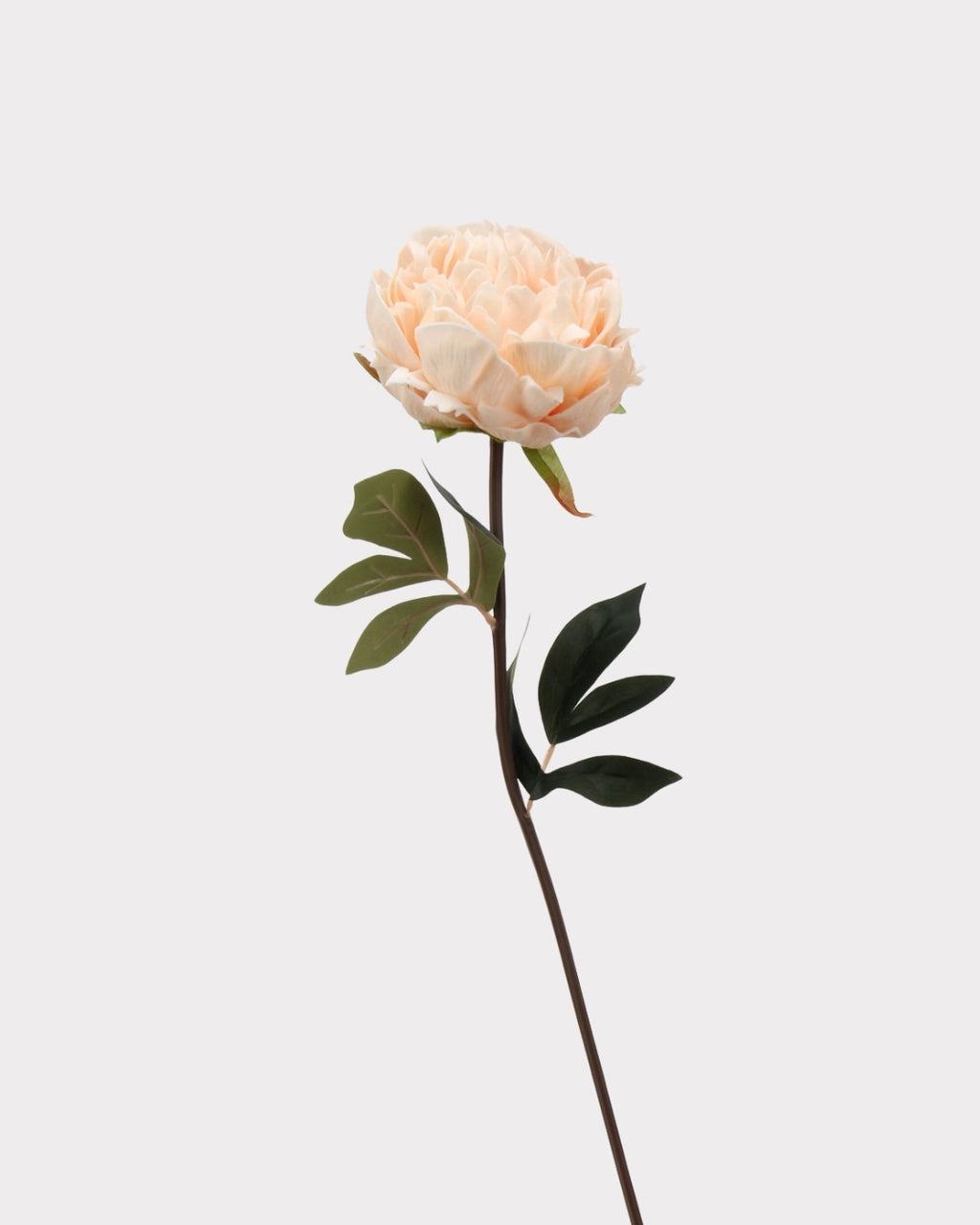 Real Touch Peony Faux Flower - 20.5"