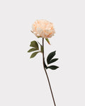 Real Touch Peony Faux Flower - 20.5"