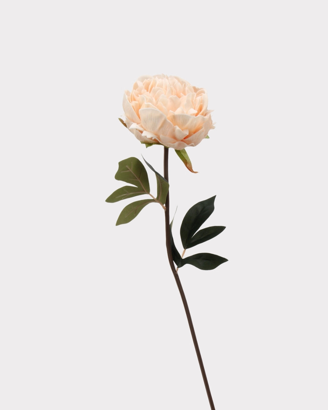 Real Touch Peony Faux Flower - 20.5"